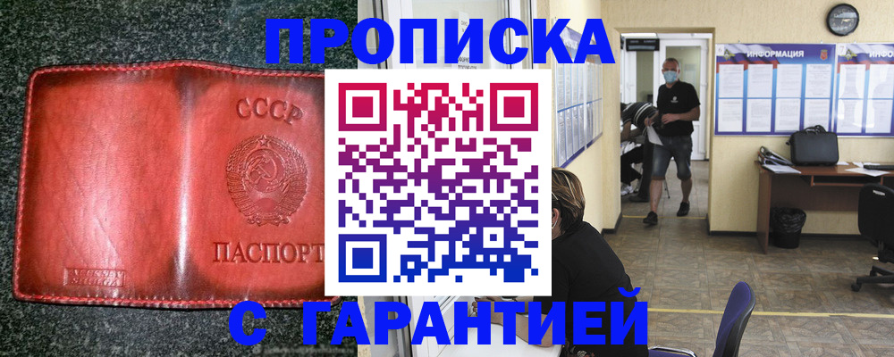 прописка гарантия в Порхове