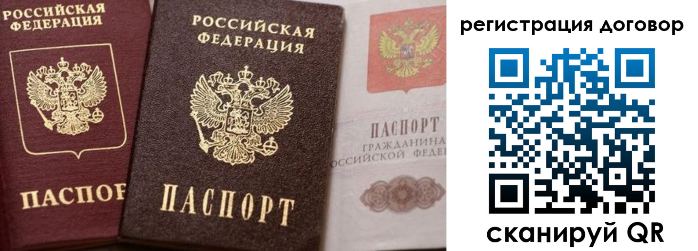 прописка 2025 в Порхове